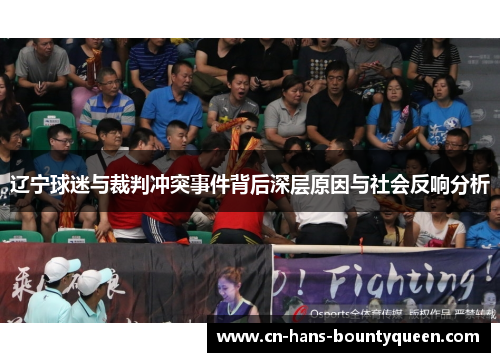 辽宁球迷与裁判冲突事件背后深层原因与社会反响分析